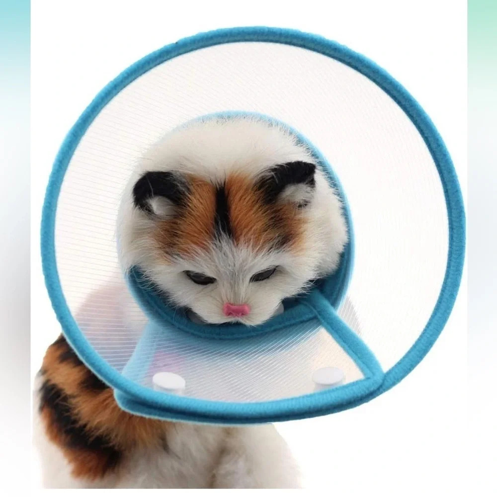 Bolbove Pet Plastic Clear Cone Recovery E-Collar for small pets